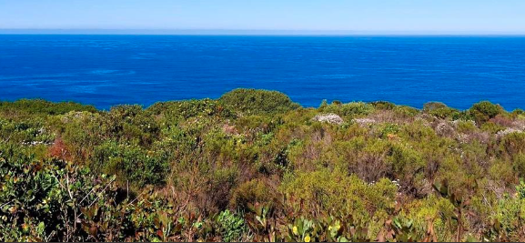 0 Bedroom Property for Sale in Village On Sea Western Cape